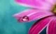 ELECTRA~SERUM tm.The ultimate serum for all skins..containing the rarest beneficial ingrediants throughout history